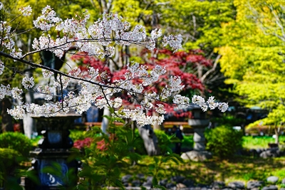 1110_日比谷公園_東京