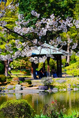 1111_日比谷公園_東京