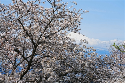 1027_富士市雁堤_静岡