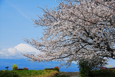 1028_富士市雁堤_静岡