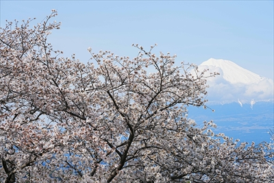 1029_富士市雁堤_静岡