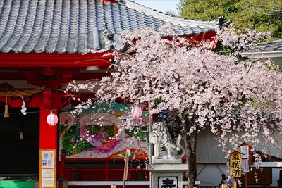 1042_駿河國総社 静岡浅間神社_静岡
