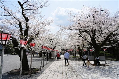 1051_三島大社_静岡