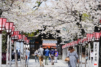 1054_三島大社_静岡