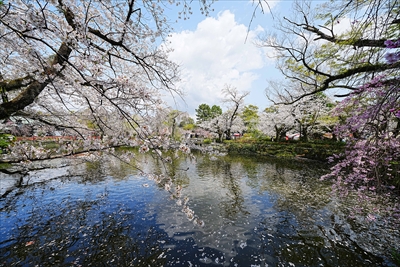 1063_三島大社_静岡