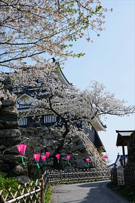 1071_浜松城_静岡