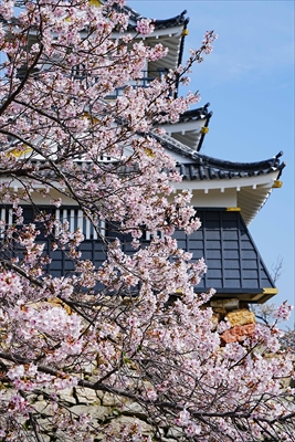 1072_浜松城_静岡