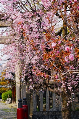 1088_大垣城_岐阜