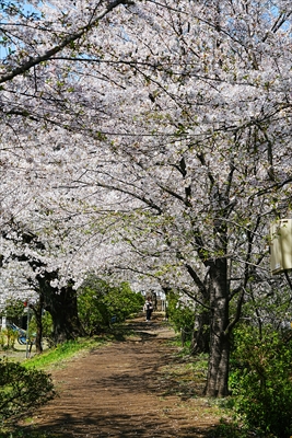 1015_高崎城址公園_群馬