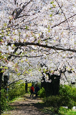 1016_高崎城址公園_群馬