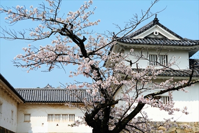 彦根城_滋賀