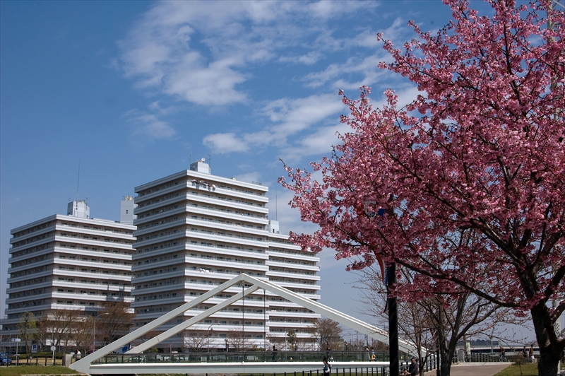 1076_新横浜公園_神奈川