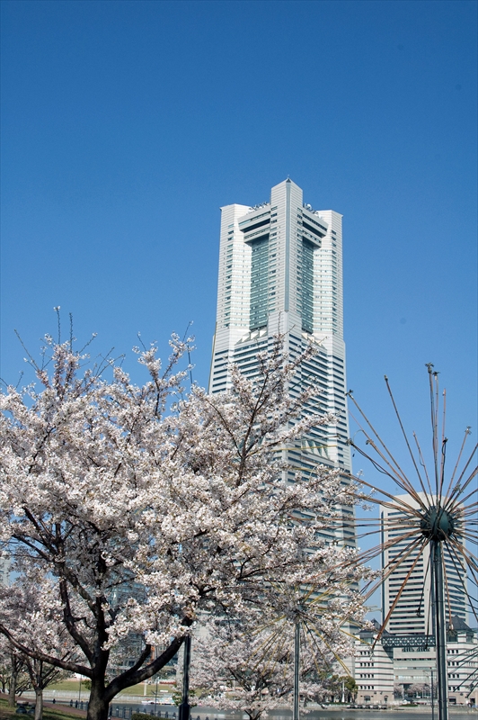 1010_なとみらい_神奈川