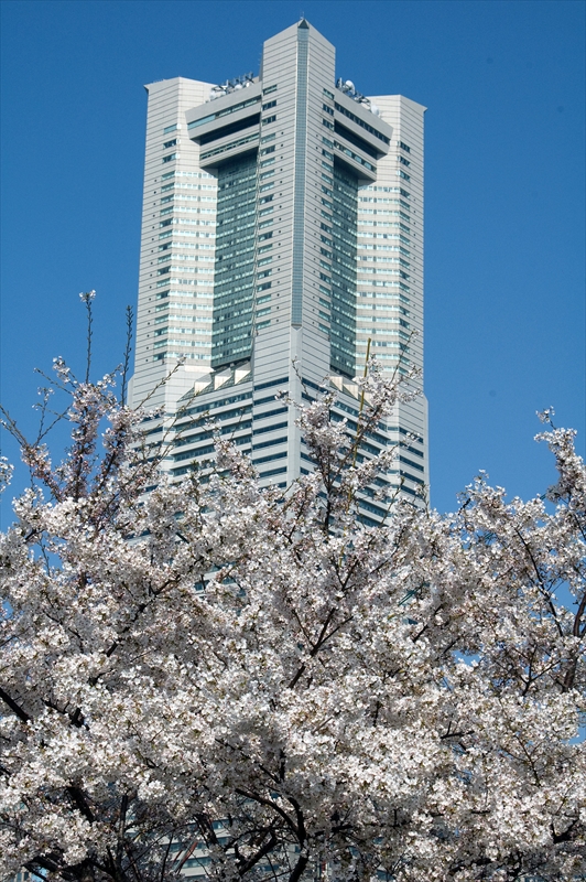 1011_なとみらい_神奈川