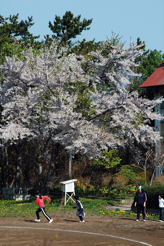 1020_野辺地_青森