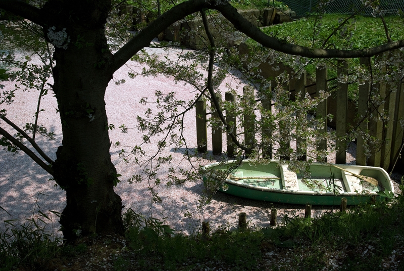 1016_弘前公園_青森