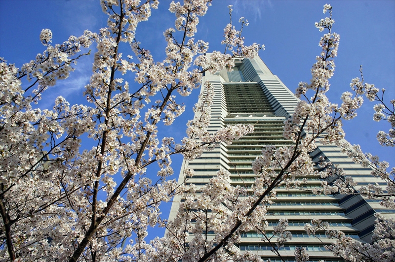 1015_なとみらい_神奈川