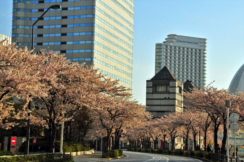 1016_なとみらい_神奈川