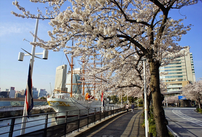 1017_なとみらい_神奈川