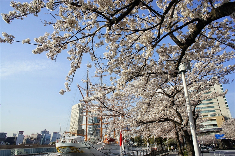 1018_なとみらい_神奈川