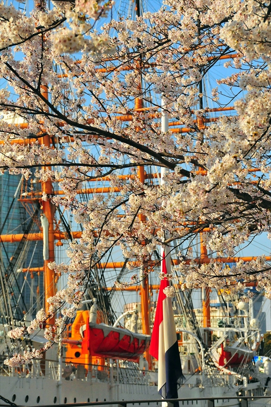 1020_なとみらい_神奈川