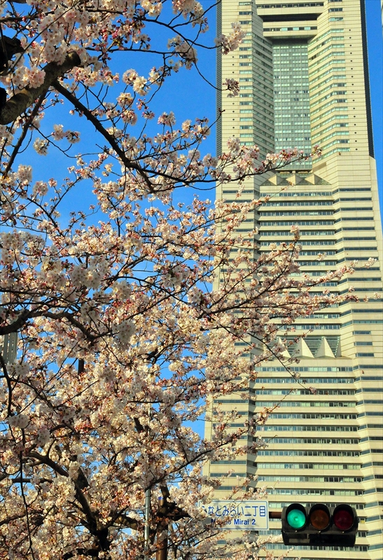 1023_なとみらい_神奈川