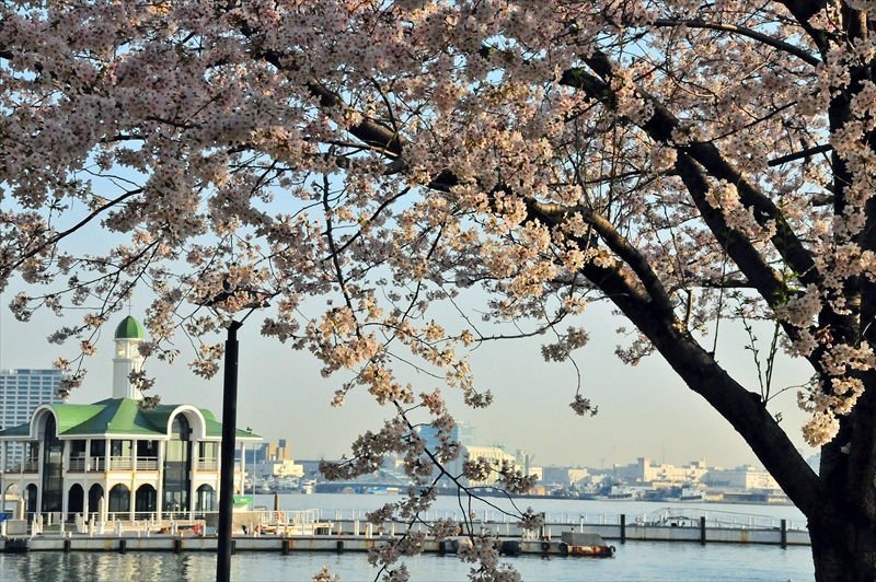 1024_なとみらい_神奈川