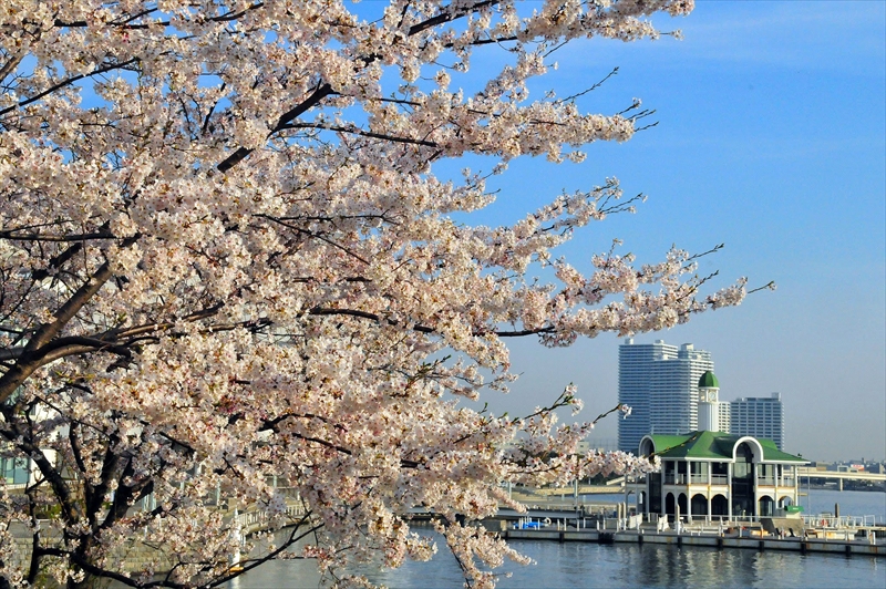 1026_なとみらい_神奈川