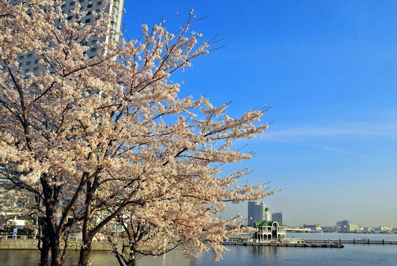 1027_なとみらい_神奈川