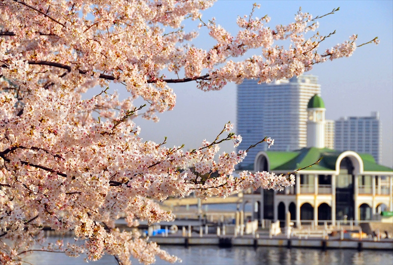 1028_なとみらい_神奈川