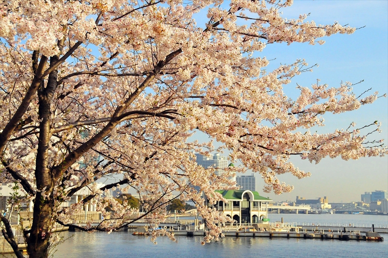 1029_なとみらい_神奈川