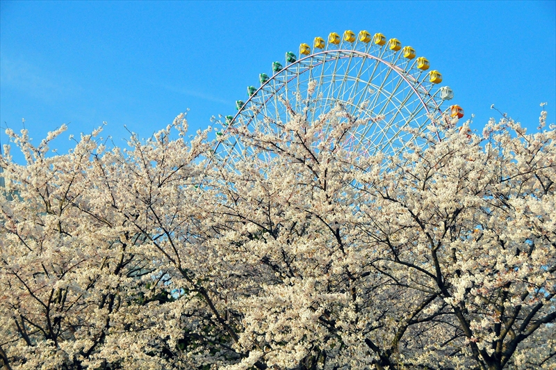 1032_なとみらい_神奈川