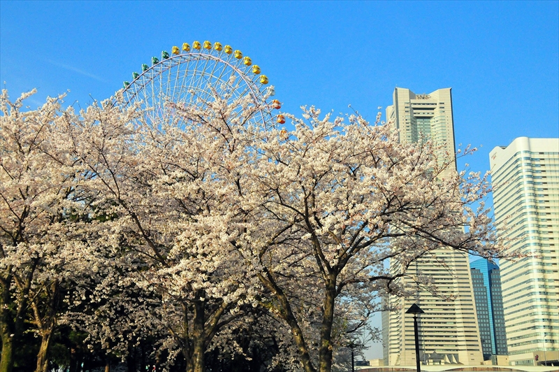 1033_なとみらい_神奈川