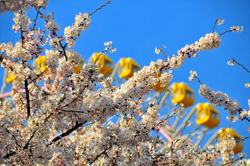 1035_なとみらい_神奈川