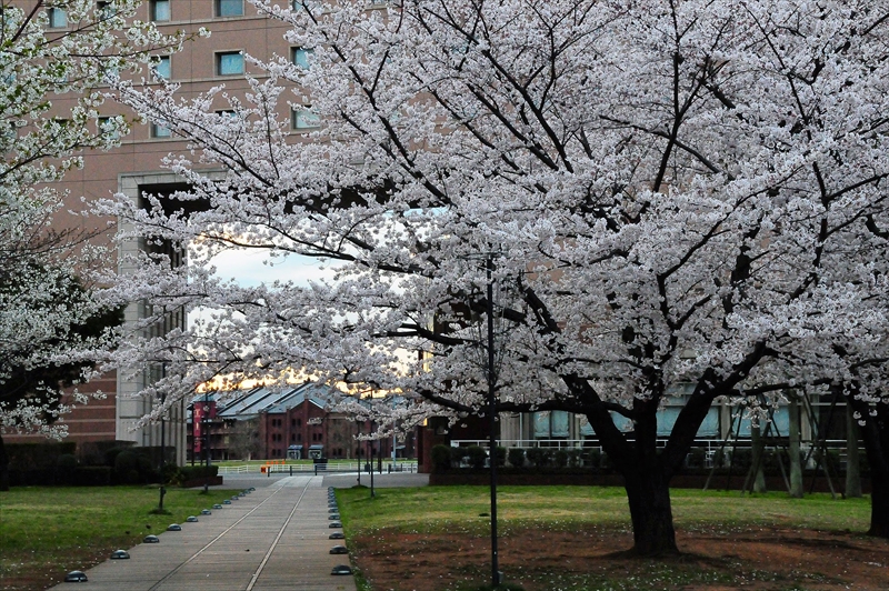 1040_なとみらい_神奈川