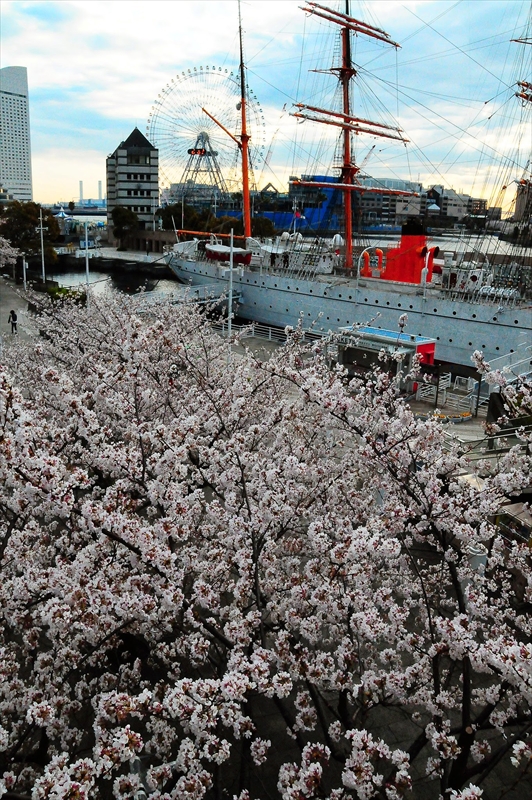 1042_なとみらい_神奈川