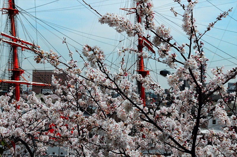 1047_なとみらい_神奈川