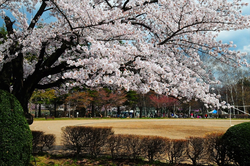 1026_水沢公園_岩手