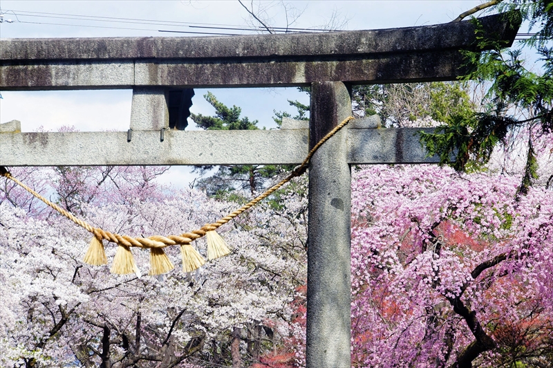 1031_陸中一宮駒形神社_岩手
