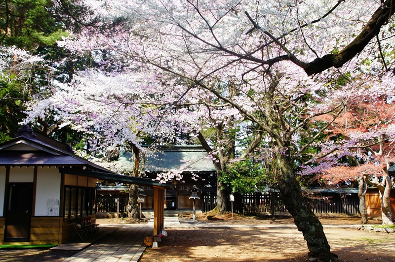 1035_陸中一宮駒形神社_岩手
