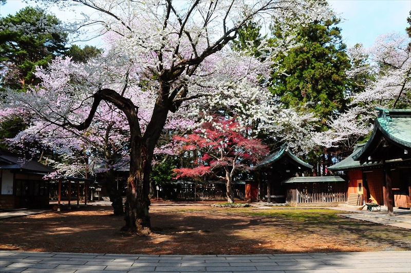 1037_陸中一宮駒形神社_岩手