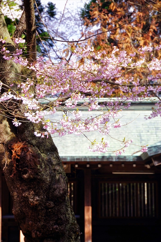 1038_陸中一宮駒形神社_岩手