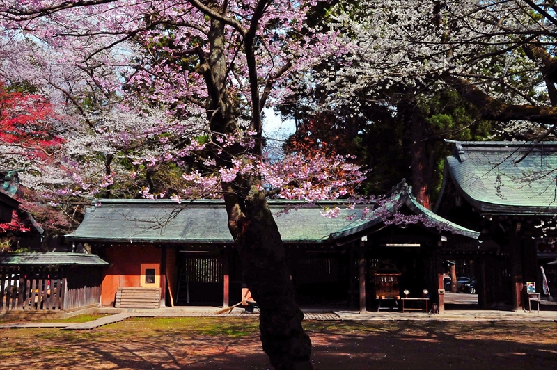 1039_陸中一宮駒形神社_岩手