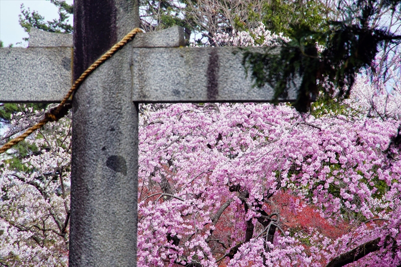 1043_陸中一宮駒形神社_岩手