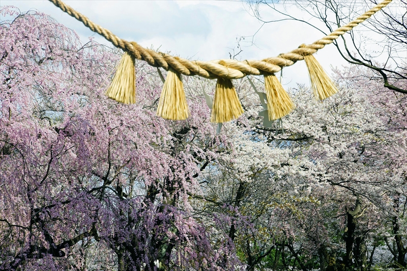 1044_陸中一宮駒形神社_岩手