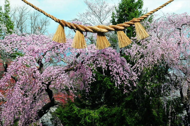 1045_陸中一宮駒形神社_岩手