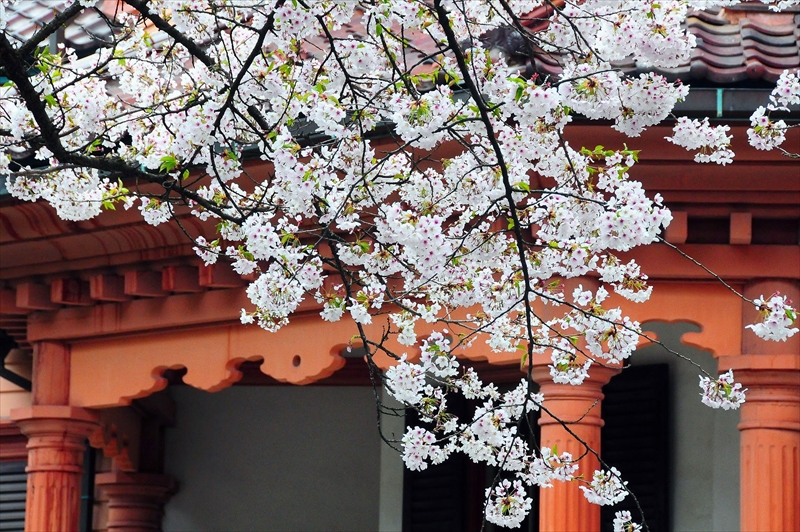 1046_山形市郷土館_山形