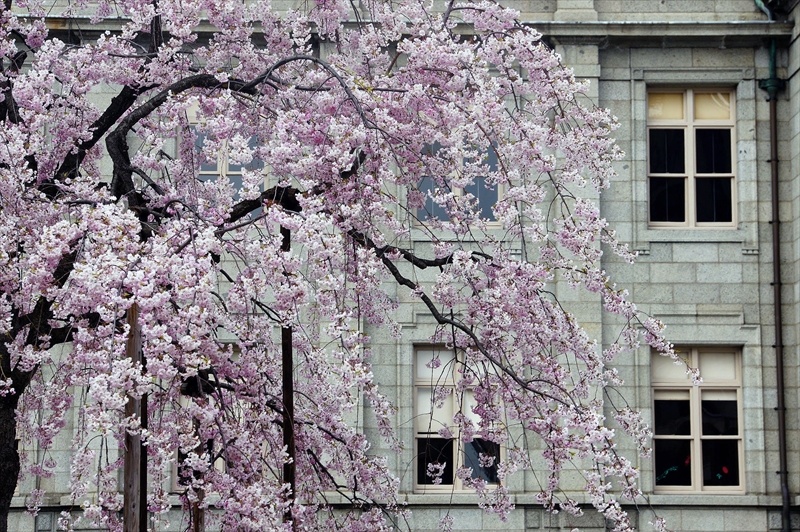 1034_山形県郷土館文翔館_山形