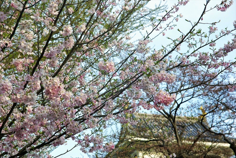 1084_上山城_山形