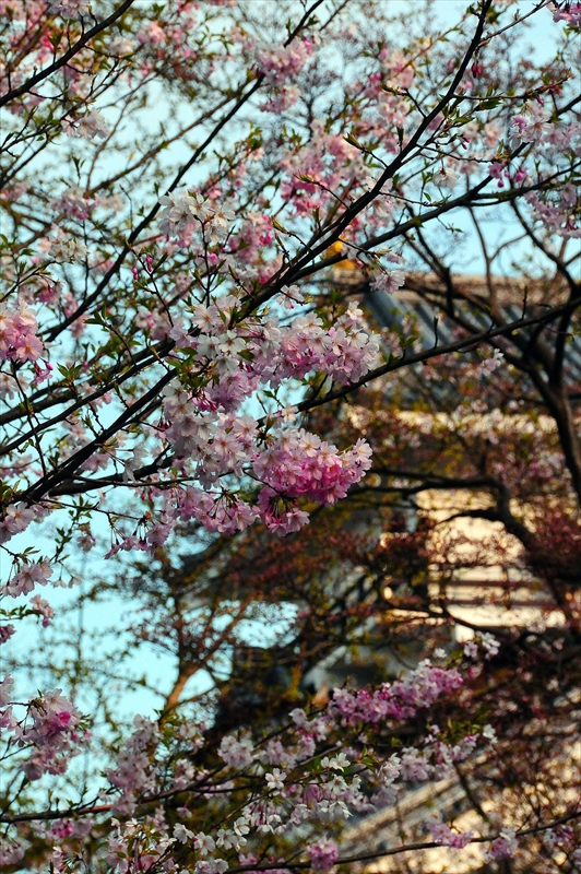 1085_上山城_山形